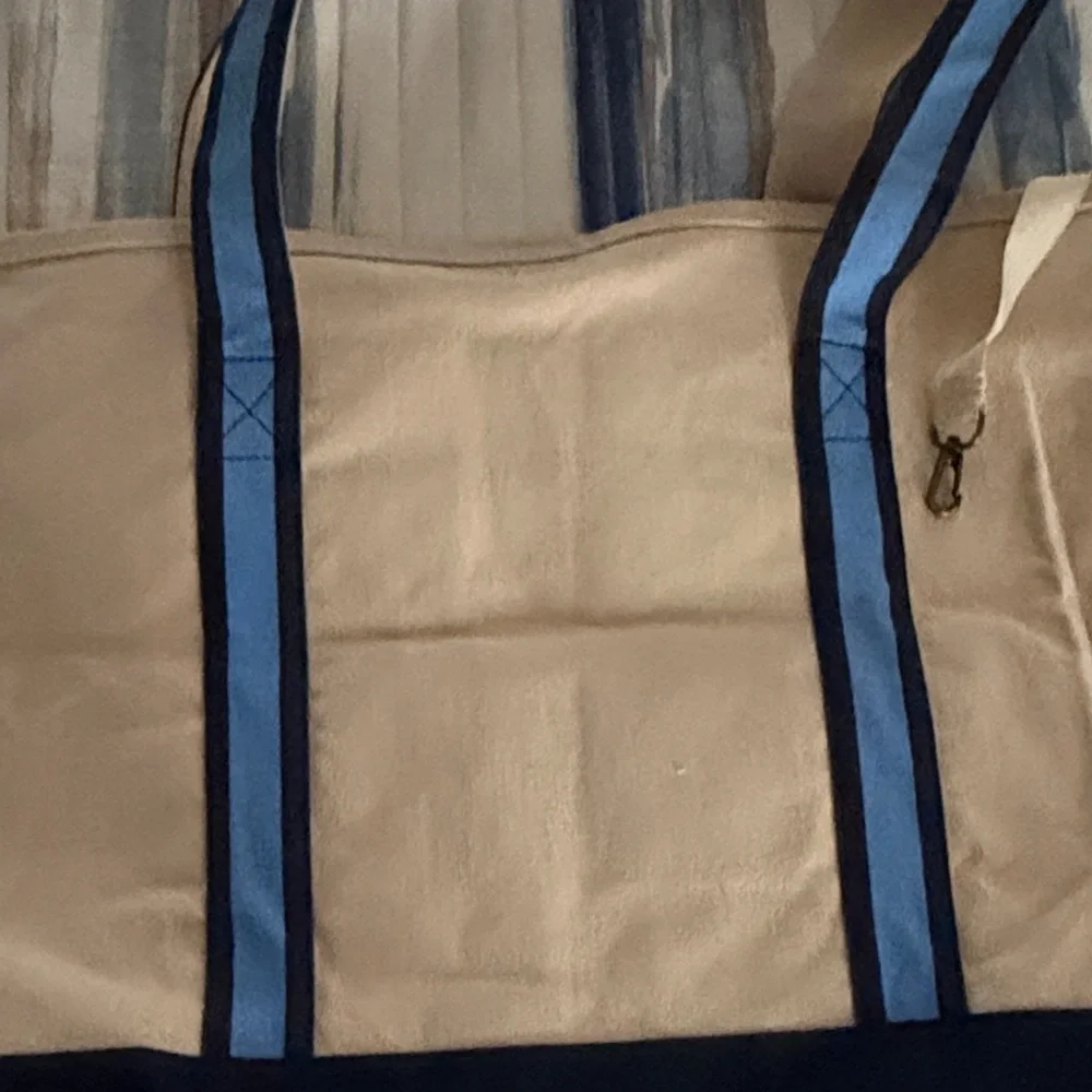 Disney Tan and Blue Canvas Tote - Picture 3 of 5